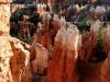 Tower View, Bryce Canyon